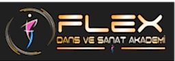 Flex Dans Akademi